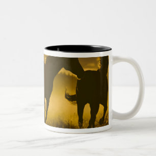 USA, Oregon, Seneca, Ponderosa Ranch. Two-Tone Coffee Mug