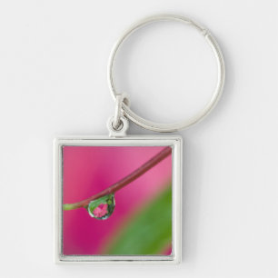 USA, Oregon, Shore Acres Gardens, Water droplet Key Ring