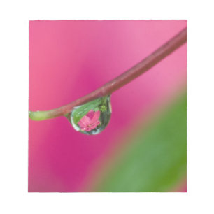 USA, Oregon, Shore Acres Gardens, Water droplet Notepad