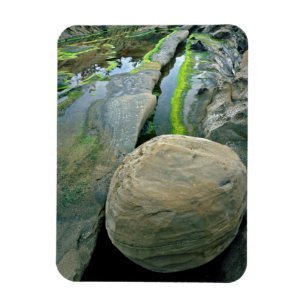 USA, Oregon, Shore Acres State Park Magnet