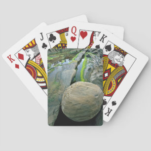 USA, Oregon, Shore Acres State Park Playing Cards