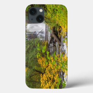 USA, Oregon, Silver Falls State Park 2 iPhone 13 Case