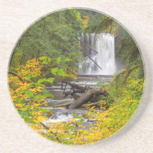 USA, Oregon, Silver Falls State Park 2 Coaster