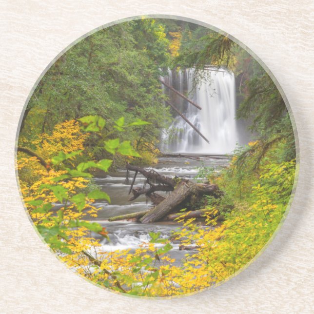 USA, Oregon, Silver Falls State Park 2 Coaster (Front)