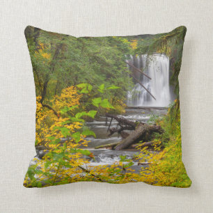USA, Oregon, Silver Falls State Park 2 Cushion