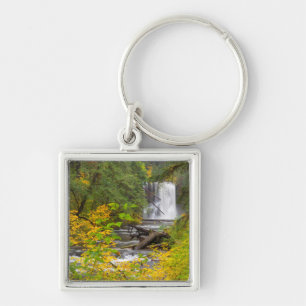 USA, Oregon, Silver Falls State Park 2 Key Ring
