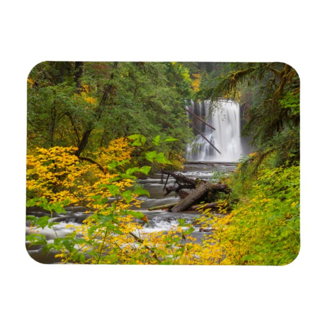 USA, Oregon, Silver Falls State Park 2 Magnet (Horizontal)