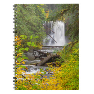 USA, Oregon, Silver Falls State Park 2 Notebook