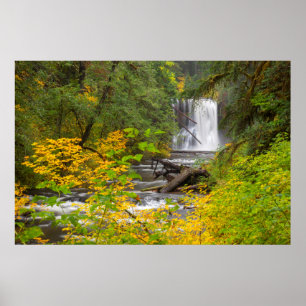 USA, Oregon, Silver Falls State Park 2 Poster