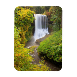 USA, Oregon, Silver Falls State Park 3 Magnet