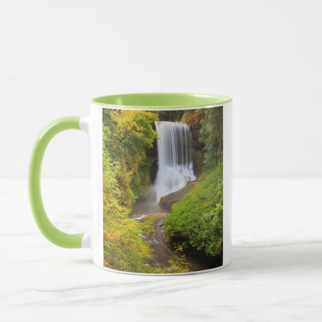USA, Oregon, Silver Falls State Park 3 Mug (Left)