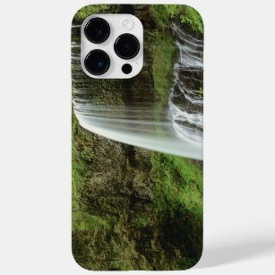 USA, Oregon, Silver Falls State Park. Lower Case-Mate iPhone 14 Pro Max Case