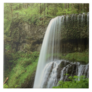 USA, Oregon, Silver Falls State Park. Lower Ceramic Tile