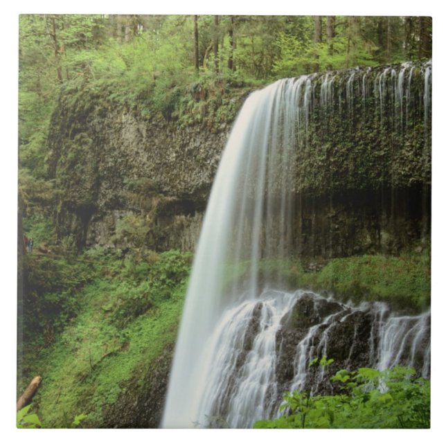 USA, Oregon, Silver Falls State Park. Lower Ceramic Tile (Front)