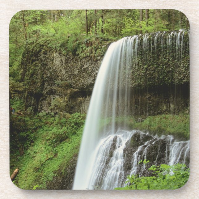 USA, Oregon, Silver Falls State Park. Lower Coaster (Front)