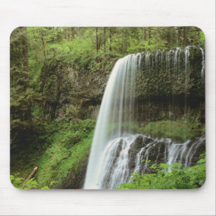 USA, Oregon, Silver Falls State Park. Lower Mouse Pad