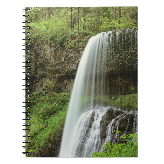 USA, Oregon, Silver Falls State Park. Lower Notebook (Front)
