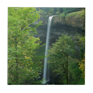USA, Oregon, Silver Falls State Park Tile