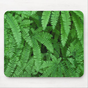 USA, Oregon, Silverton. Maidenhair Ferns Mouse Pad