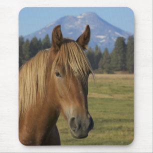 USA, Oregon, Sisters, view of Three Sisters, Mouse Pad