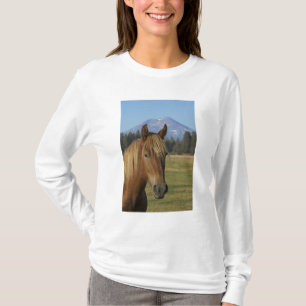 USA, Oregon, Sisters, view of Three Sisters, T-Shirt