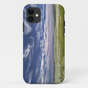 USA, Oregon, Steens Mountain. Spring burgeons iPhone 11 Case