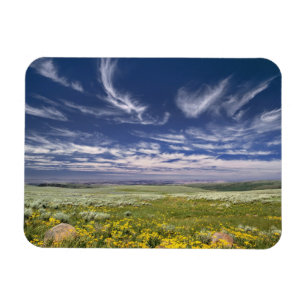 USA, Oregon, Steens Mountain. Spring burgeons Magnet