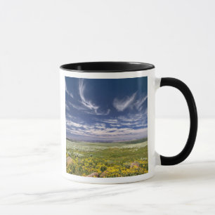 USA, Oregon, Steens Mountain. Spring burgeons Mug