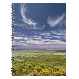 USA, Oregon, Steens Mountain. Spring burgeons Notebook