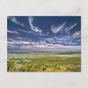 USA, Oregon, Steens Mountain. Spring burgeons Postcard