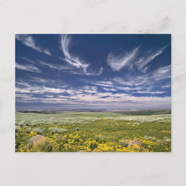 USA, Oregon, Steens Mountain. Spring burgeons Postcard (Front)