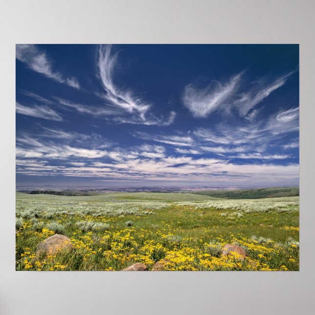USA, Oregon, Steens Mountain. Spring burgeons Poster (Front)