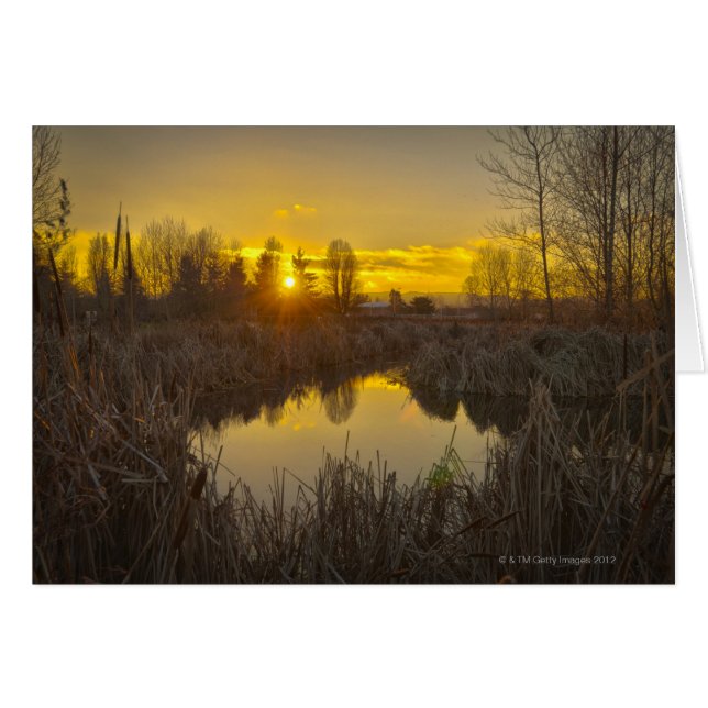 USA, Oregon, Sunset over Marsh (Front Horizontal)