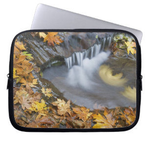 USA, Oregon, Sweet Creek. Fallen maple leaves Laptop Sleeve