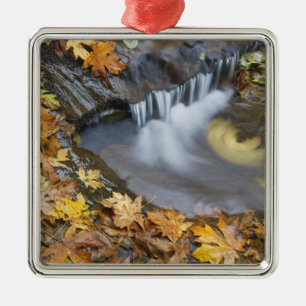 USA, Oregon, Sweet Creek. Fallen maple leaves Metal Ornament