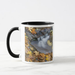 USA, Oregon, Sweet Creek. Fallen maple leaves Mug