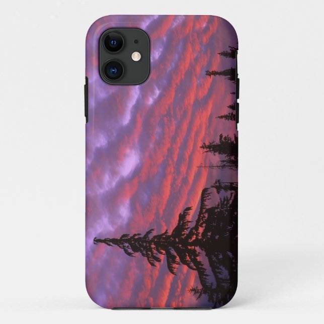 USA, Oregon, Three Sisters Wilderness, Vivid Case-Mate iPhone Case (Back)