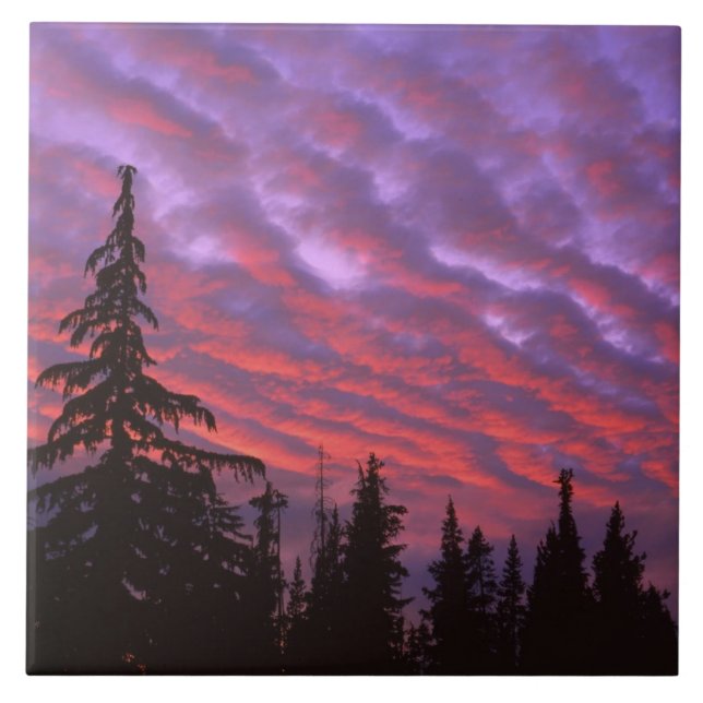 USA, Oregon, Three Sisters Wilderness, Vivid Tile (Front)