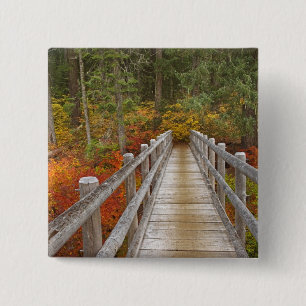 USA, Oregon, Willamette National Forest. 15 Cm Square Badge