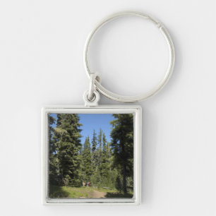 USA, Oregon, Willamette National Forest, Fall Key Ring