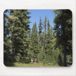 USA, Oregon, Willamette National Forest, Fall Mouse Pad