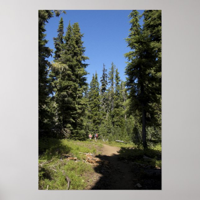 USA, Oregon, Willamette National Forest, Fall Poster (Front)