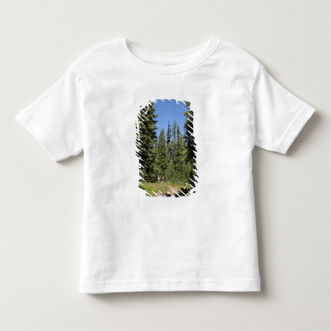 USA, Oregon, Willamette National Forest, Fall Toddler T-Shirt (Front)