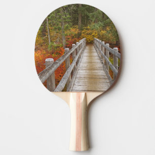 USA, Oregon, Willamette National Forest. Ping Pong Paddle
