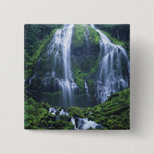 USA, Oregon, Willamette National Forest. View of 15 Cm Square Badge