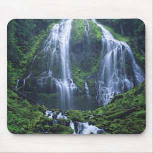 USA, Oregon, Willamette National Forest. View of Mouse Pad