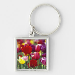 USA, Oregon, Willamette Valley. Beautiful Key Ring