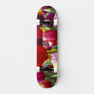 USA, Oregon, Willamette Valley. Beautiful Skateboard