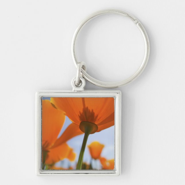 USA, Oregon, Willamette Valley, Close UP of 2 Key Ring (Front)