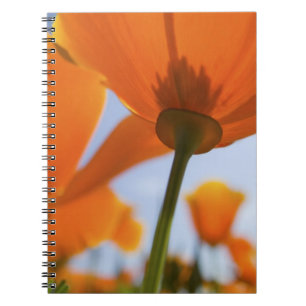 USA, Oregon, Willamette Valley, Close UP of 2 Notebook